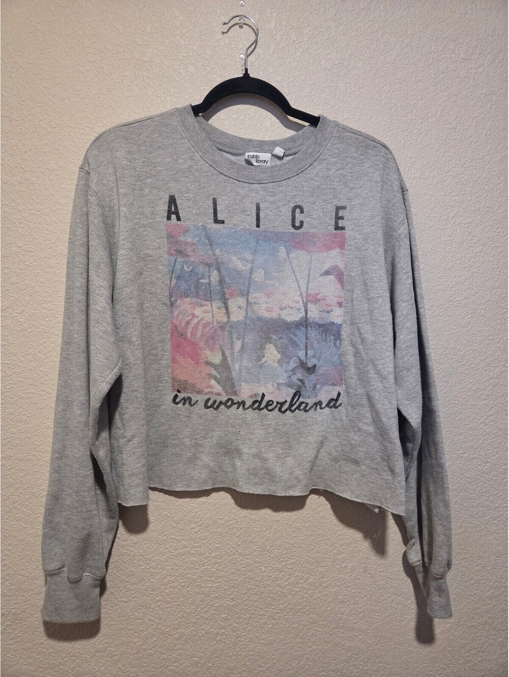 Public Library Alice in Wonderland Gray Graphic Crop Sweatshirt 2XL